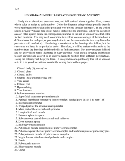 Study the explanations, cross-sections, and full perineal views