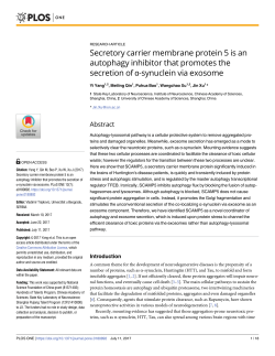 Secretory carrier membrane protein 5 is an autophagy