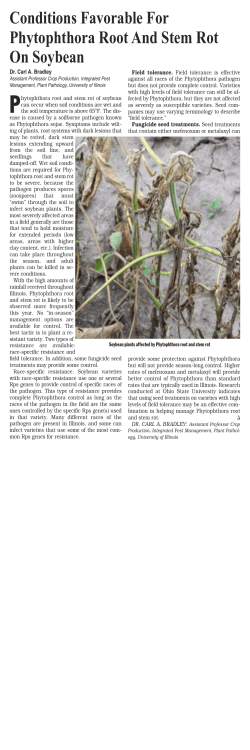Conditions Favorable For Phytophthora Root And Stem
