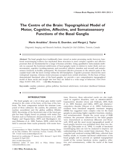 Topographical model of motor, cognitive, affective