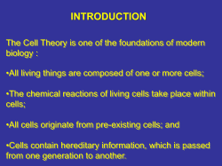 Gene Expression and Cell Division are separated into different