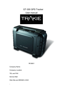 GT300 鐘舵&euro;佽  鏄