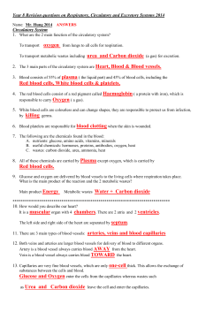 Revision questions on Circulatory System
