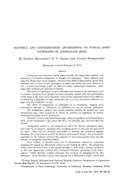 bacteria and actinomycetes antagonistic to fungal root pathogens in
