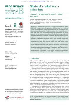 Diffusion of individual birds in starling flocks