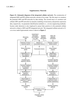 Supplementary Example 2
