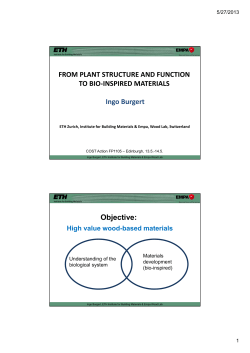 FROM PLANT STRUCTURE AND FUNCTION TO BIO