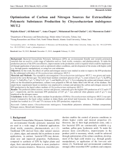 Optimization of Carbon and Nitrogen Sources for Extracellular
