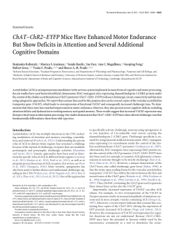 ChAT&ndash;ChR2&ndash;EYFPMice Have Enhanced Motor Endurance But