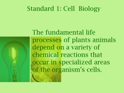 Parts of the Eukaryotic Cell