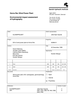 Environmental impact assessment on the hydrography at Horns Rev