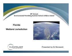 Florida Wetland Jurisdiction - Florida Environmental Network