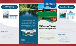Green Clean Brochure