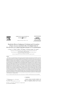 Beneficial effects of indigenous Cd-tolerant and Cd