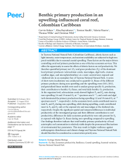Benthic primary production in an upwelling-influenced coral