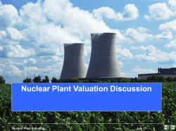 Nuclear Plant Valuation