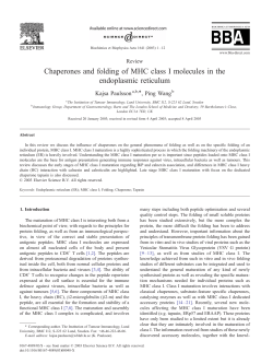 Chaperones and folding of MHC class I molecules in the