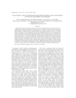 FUNCTIONAL TRAIT DIFFERENCES BETWEEN WEEDY AND NON