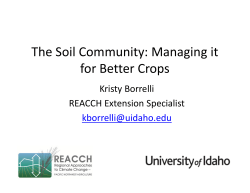 The Soil Community: Managing it for Better Crops