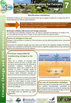 Nitrification Inhibitors