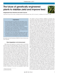 The future of genetically engineered plants to stabilize yield and