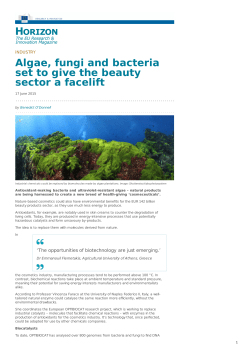 Algae, fungi and bacteria set to give the beauty sector a facelift