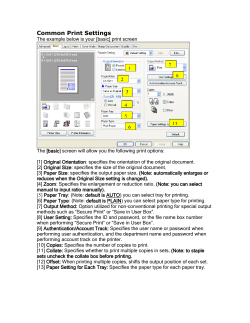 Common Print Settings