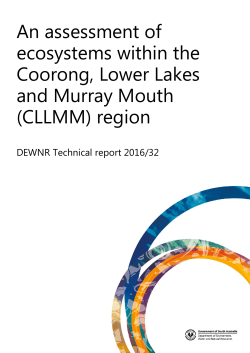 An assessment of ecosystems within the Coorong, Lower Lakes and