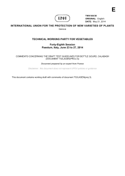 Medium Thai Bottle fr