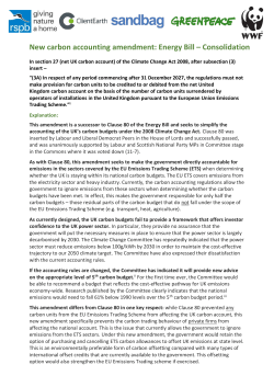 New carbon accounting amendment: Energy Bill &ndash; Consolidation