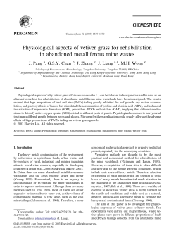 Physiological Aspects Of Vetiver Grass for Rehabilitation in