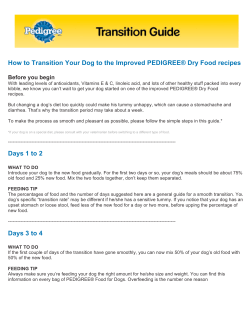 Dog Foods | Dry, Wet Dog Food and Dog Treats | PEDIGREE