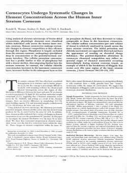 Corneocytes Undergo Systematic Changes in