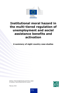 Institutional moral hazard in the multi