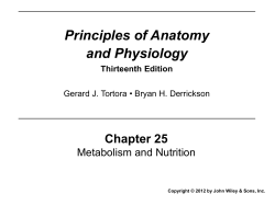 Principles of Anatomy and Physiology