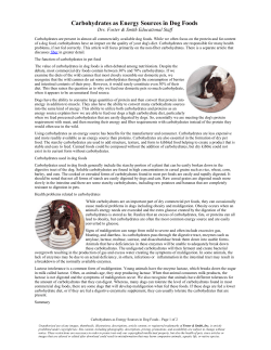 Carbohydrates as Energy Sources in Dog Foods