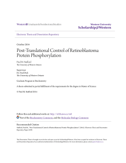 Post-Translational Control of Retinoblastoma Protein Phosphorylation