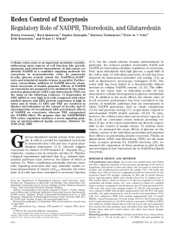 Redox Control of Exocytosis Regulatory Role of NADPH