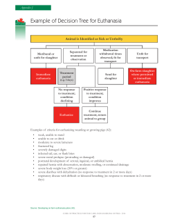 Example of Decision Tree for Euthanasia