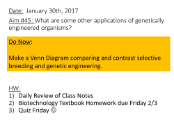 PowerPoint- GMOs and Gene Therapy