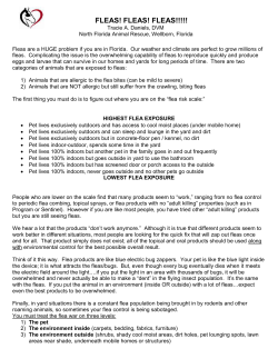 geez the fleas - North Florida Animal Rescue