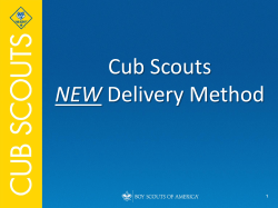 Cub Scout Leader Training Available Online