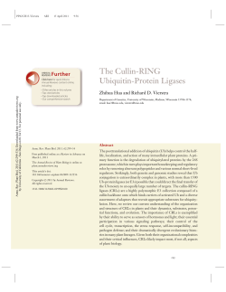 The Cullin-RING Ubiquitin-Protein Ligases