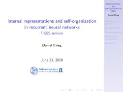 Internal representations and self-organization in recurrent