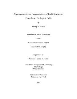 Measurements and Interpretations of Light Scattering From Intact