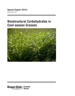 Nonstructural Carbohydrates in Cool