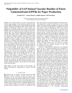 Pulpability of SAP Stained Vascular Bundles of Elaeis