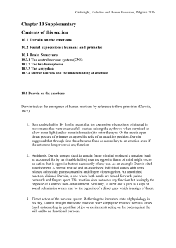 Supplementary Material Chapter 10 Word Document (0.456