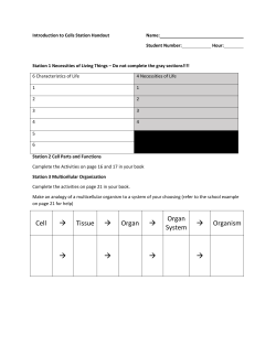 Cells Station Student Handout - Ozark R