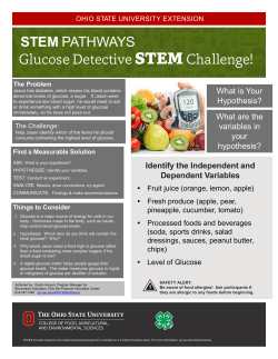 Glucose Detective STEM Challenge! - Ohio 4